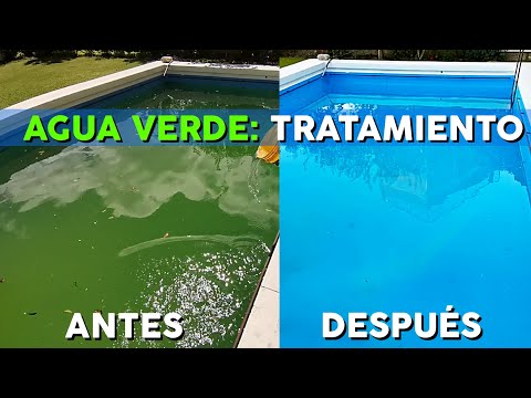 Soluciones para agua verde en la piscina: ¡Descubre qué hacer!