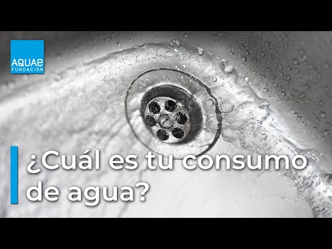 Descubre el mayor consumidor de agua en tu hogar: ¿Qué es lo que más agua gasta en una casa?
