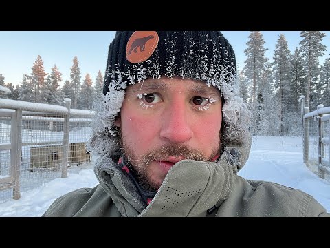 Piscina polar: descubre todo sobre esta experiencia helada